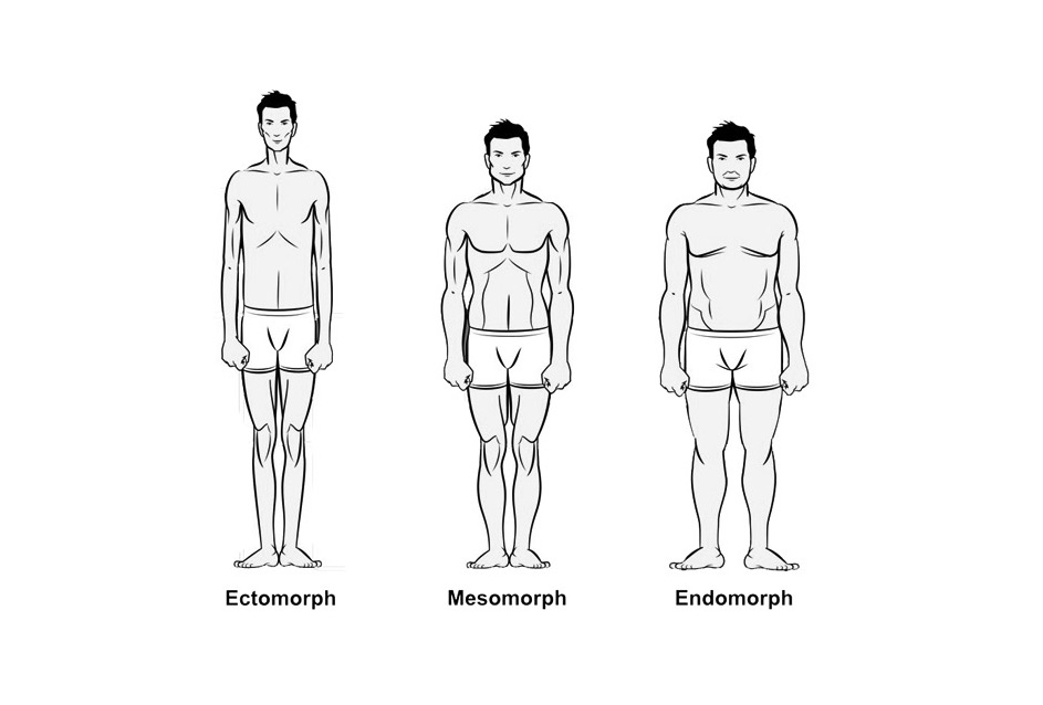 Metabolic Body Types 